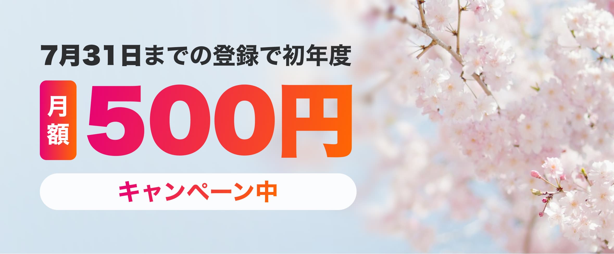 キャンペーン中